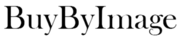 buybyimage logo aaa